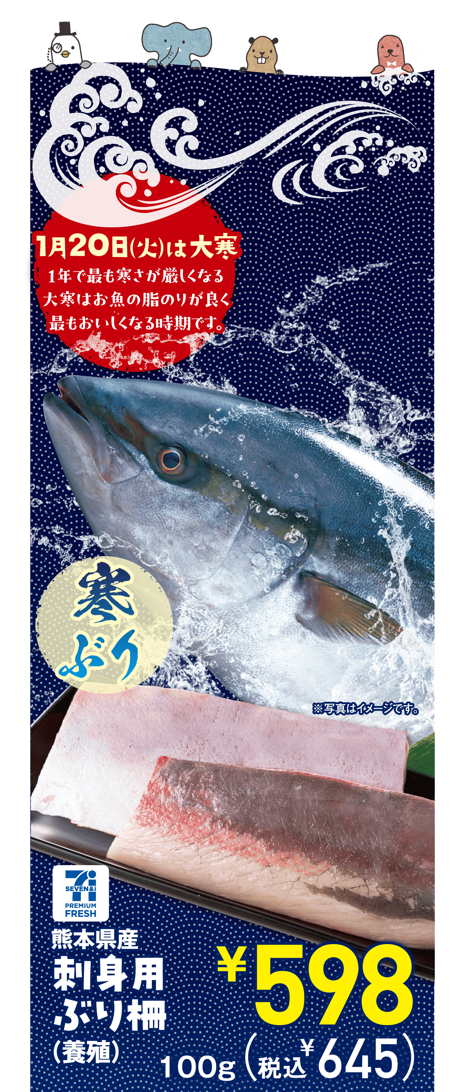 1月20日(火)は大寒。1年で最も寒さが厳しくなる大寒はお魚の脂のりが良く最もおいしくなる時期です。【寒ぶり】[セブンプレミアムフレッシュ]熊本県産刺身用ぶり柵(養殖)