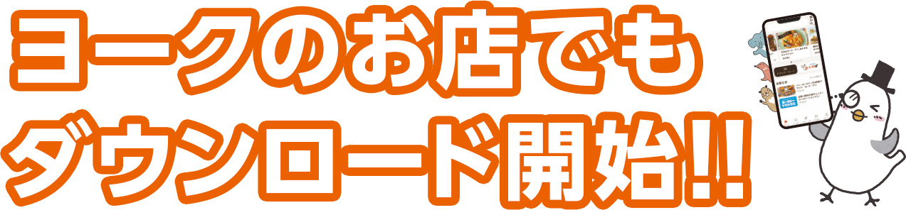 ヨークのお店でもダウンロード開始！！