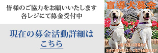 皆様のご協力をお願いいたします。各レジにて募金受付中